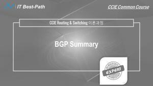 [CCIE R&S] BGP Summary