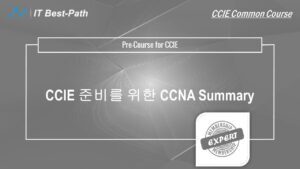 CCNA Basic for CCIE