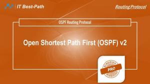 OSPFv2 Routing Protocol